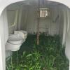 Poly calf hutch w buckets & chain, in good condition - 2
