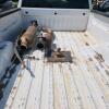 2013 2500 GMC duramax diesel truck, 356,000km,4x4, 8' box - 5