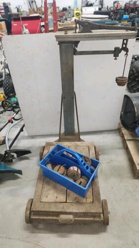 Platform scale