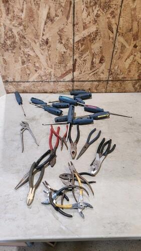 Assorted pliers & Mastercraft Screwdrivers