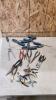 Assorted pliers & Mastercraft Screwdrivers