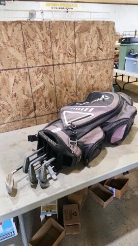 Golf clubs w bag