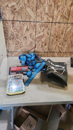 Test light set, safety harness