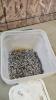 15lbs Assorted screws
