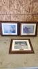Robert Bateman prints