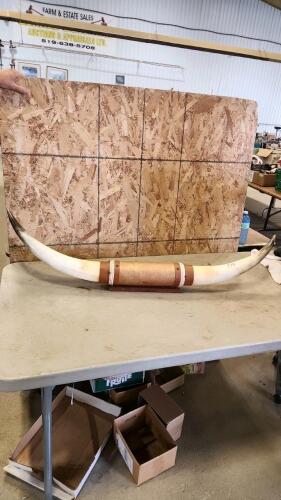 47" Horns
