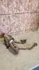 2" Trailer hitch
