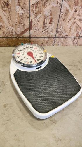 Bathroom scale