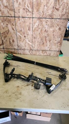 Compound bow w arrows