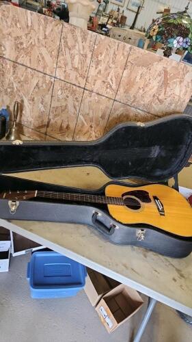 Ibanez Guitar