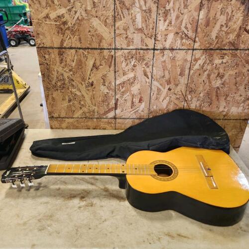 Monroy guitar missing strings