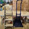 Snow scope, 4' step ladder