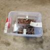 Large quantity of Canadian pennies