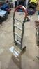 Dolly cart