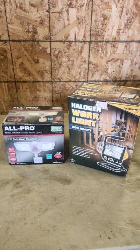 LED motion light, work