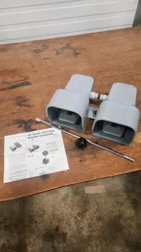Double electric foot switch