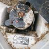 50" Exhaust fan - 2