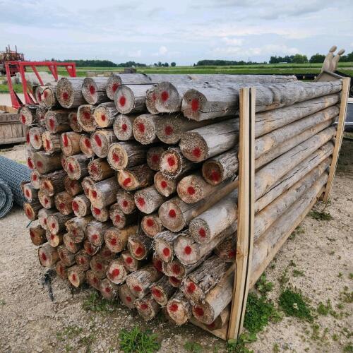 4"x8' Posts