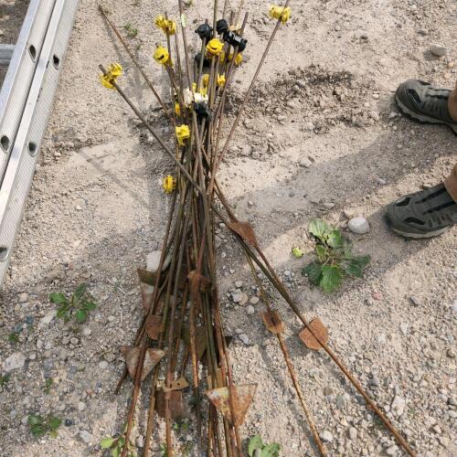 Electric fence posts