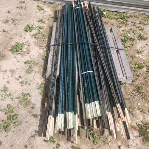 Approx 40 8' T bar stakes
