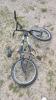 20" Stunt bike