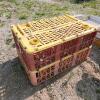 2 Poultry crates