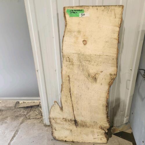 2"T 16"H Air dried maple