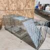 32" Live trap