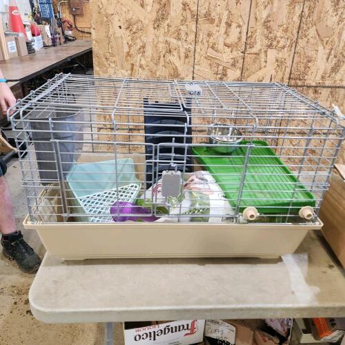 Small animal pen 29"L 17"W 17"H