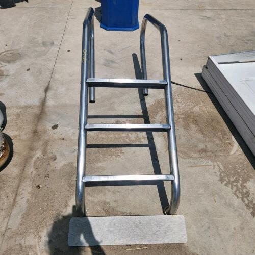 Stainless pool ladder