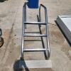 Stainless pool ladder