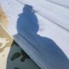 16' Fiberglass Canoe - 2