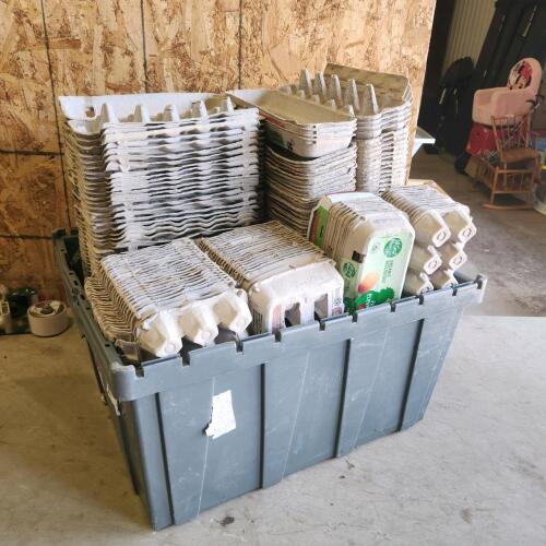 Used egg cartons