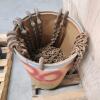 Barrel of 20' 5/16" chains