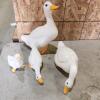 Glass ducks