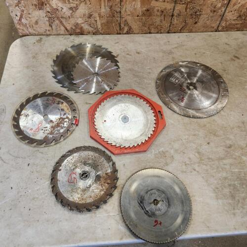 Various sized saw blades