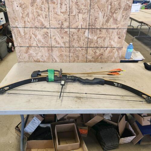 Compound bow & arrows
