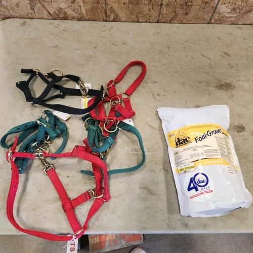 New Mini pony halters, 5lbs foal minerals