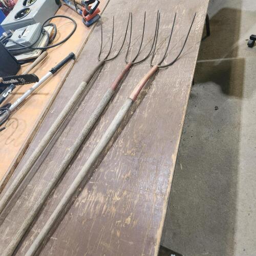 3 Pitch forks