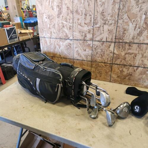 Golf clubs & bag w travel bag