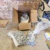 1 3/4"x 1/2" carriage bolts