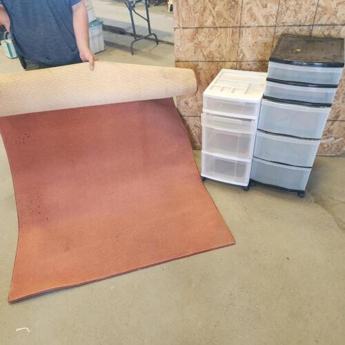 2 Plastic storage drawers, 4x6 area rug