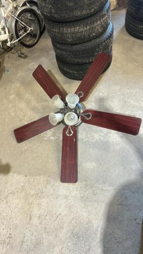 Ceiling fan with lights