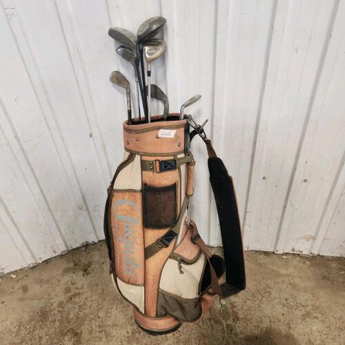 Golf clubs w bag