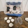 Partialy unpacked tub of Royal Doulton mugs & various glassware