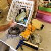 Jigsaw, Caulking gun, etc.