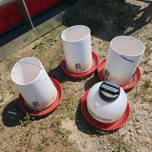 3 poultry feeders & 1 waterer