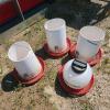3 poultry feeders & 1 waterer