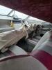 19' Boat w ownership & vessel permit, was running this year - 4