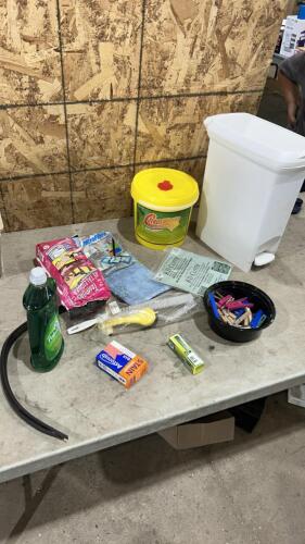 Various cleaning supplies